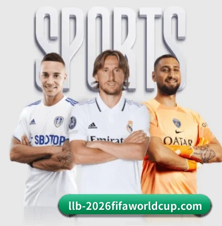 世界杯网投五大内容板块,覆盖赛事直播与实时比分